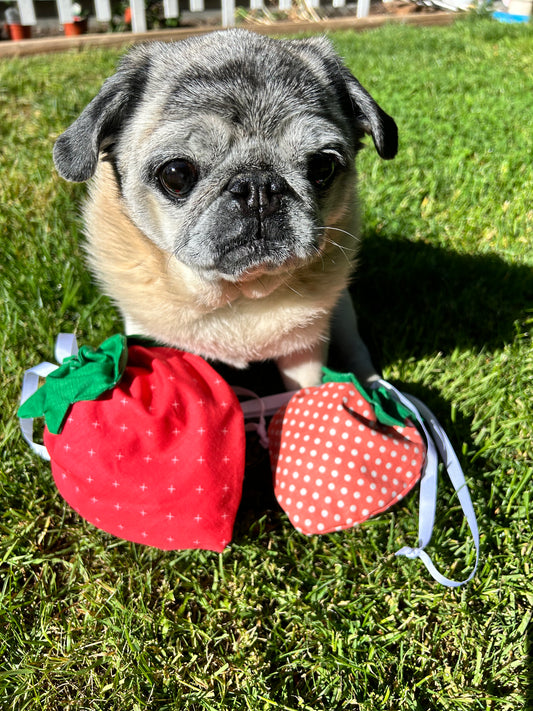 Strawberry Pouch